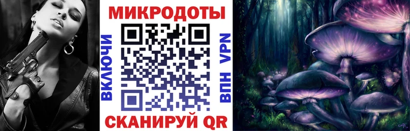 Псилоцибиновые грибы Psilocybine cubensis  Мариинск 